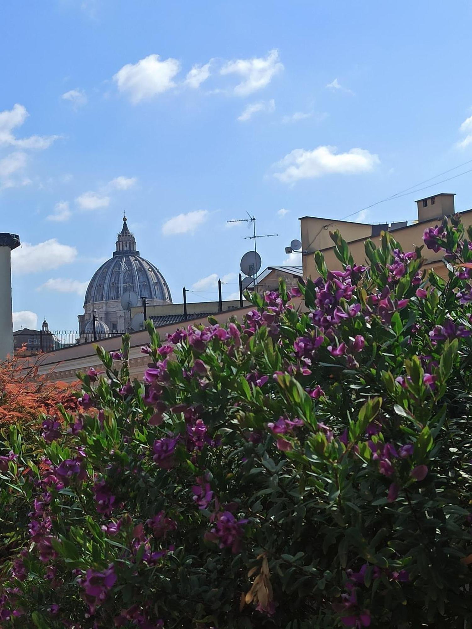 Living By Vatican With Panoramic Terraces In روما المظهر الخارجي الصورة